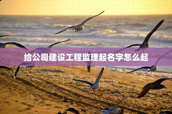 给公司建设工程监理起名字怎么起