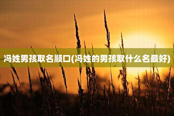冯姓男孩取名顺口(冯姓的男孩取什么名最好)