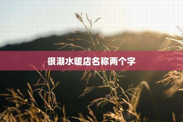 很潮水暖店名称两个字