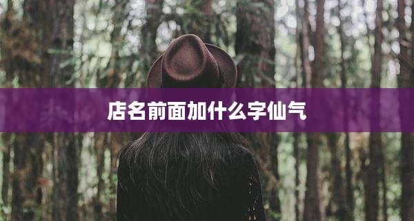 店名前面加什么字仙气