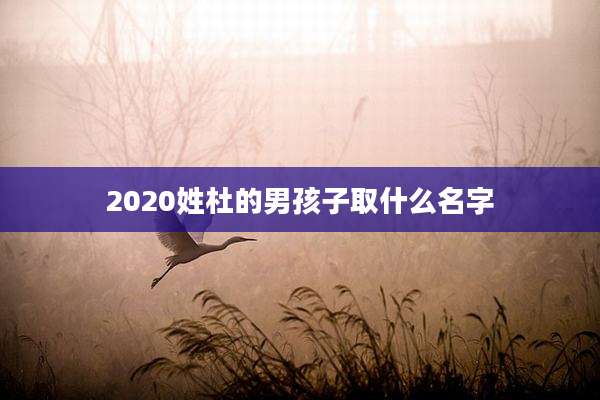 2020姓杜的男孩子取什么名字