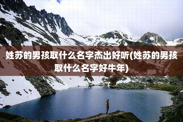 姓苏的男孩取什么名字杰出好听(姓苏的男孩取什么名字好牛年)