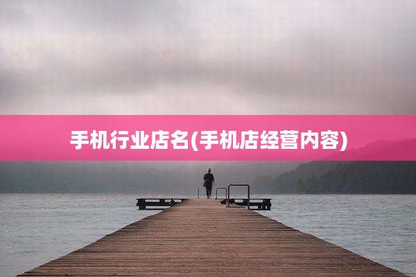 手机行业店名(手机店经营内容)
