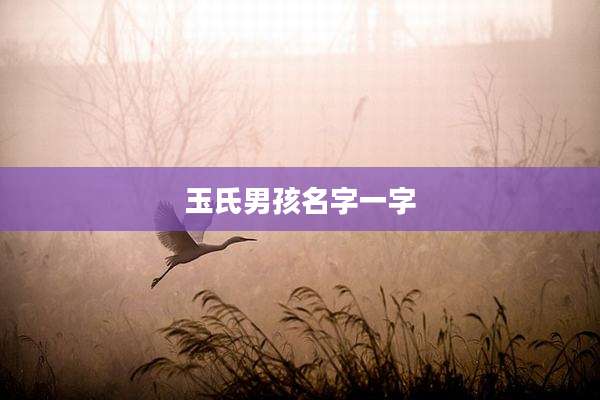 玉氏男孩名字一字