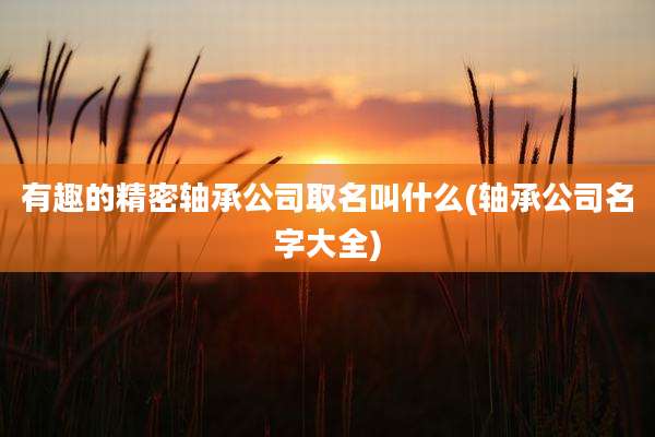 有趣的精密轴承公司取名叫什么(轴承公司名字大全)