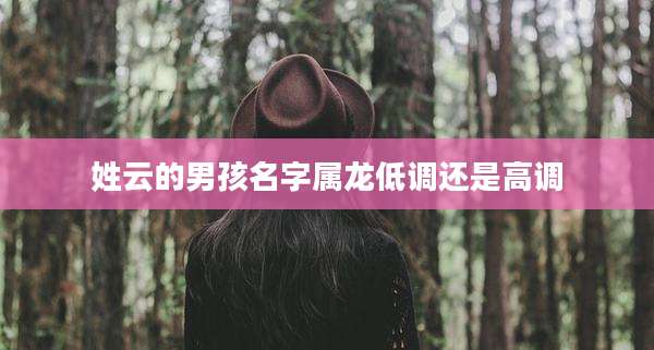 姓云的男孩名字属龙低调还是高调