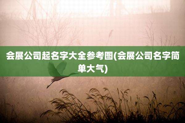 会展公司起名字大全参考图(会展公司名字简单大气)