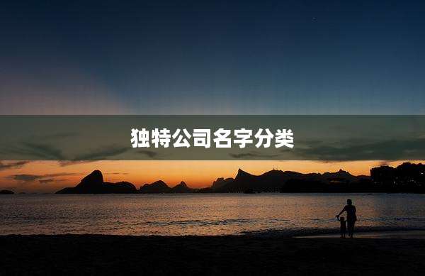 独特公司名字分类