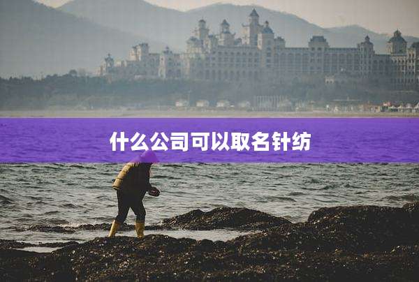 什么公司可以取名针纺
