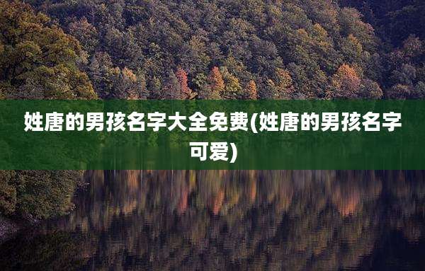 姓唐的男孩名字大全免费(姓唐的男孩名字可爱)