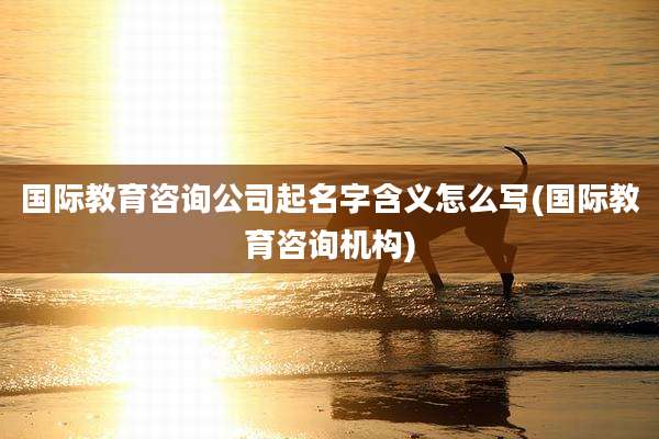 国际教育咨询公司起名字含义怎么写(国际教育咨询机构)