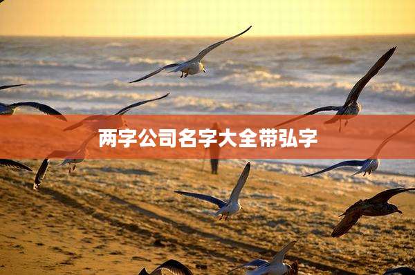 两字公司名字大全带弘字