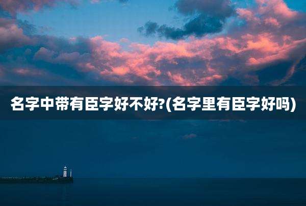 名字中带有臣字好不好?(名字里有臣字好吗)