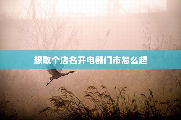 想取个店名开电器门市怎么起