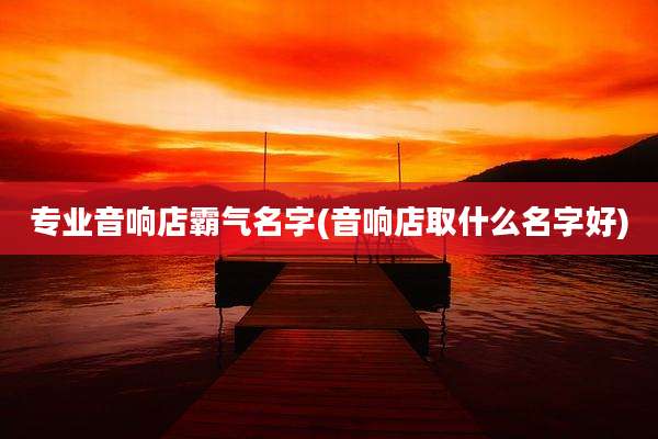 专业音响店霸气名字(音响店取什么名字好)