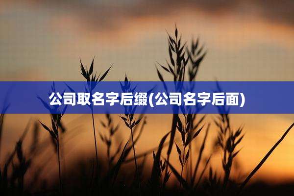 公司取名字后缀(公司名字后面)