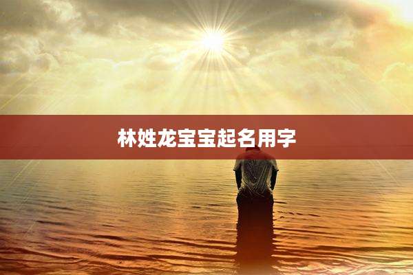 林姓龙宝宝起名用字
