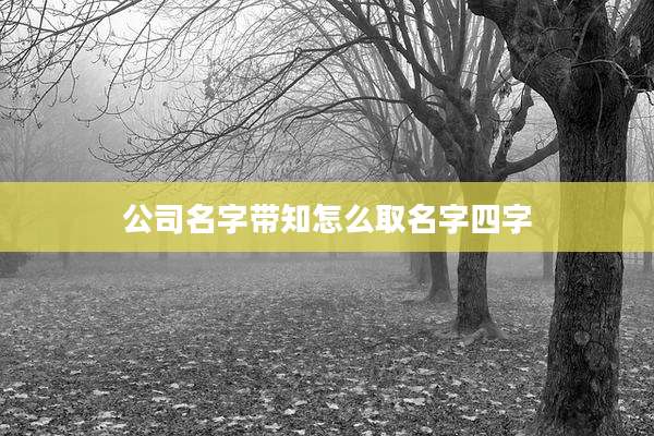 公司名字带知怎么取名字四字