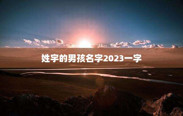 姓宇的男孩名字2023一字