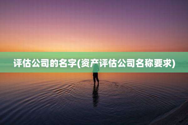 评估公司的名字(资产评估公司名称要求)