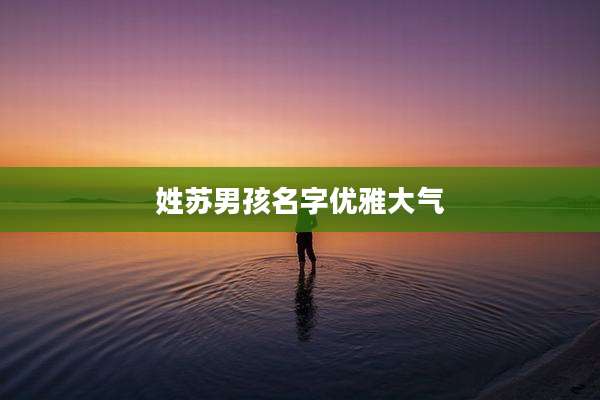 姓苏男孩名字优雅大气