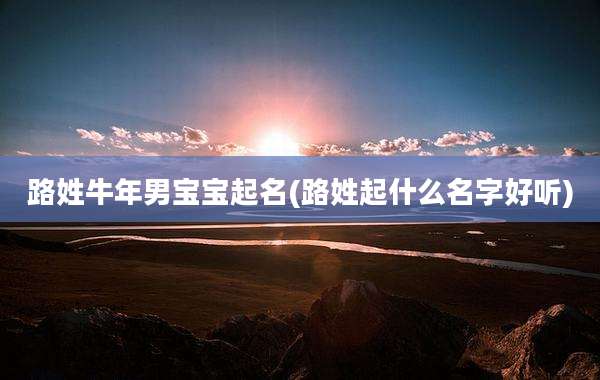 路姓牛年男宝宝起名(路姓起什么名字好听)