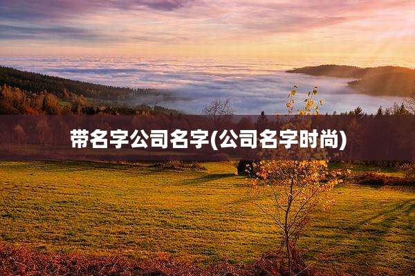 带名字公司名字(公司名字时尚)