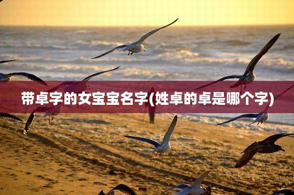 带卓字的女宝宝名字(姓卓的卓是哪个字)