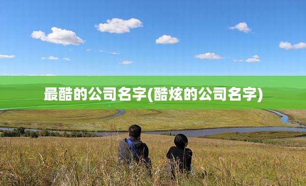 最酷的公司名字(酷炫的公司名字)