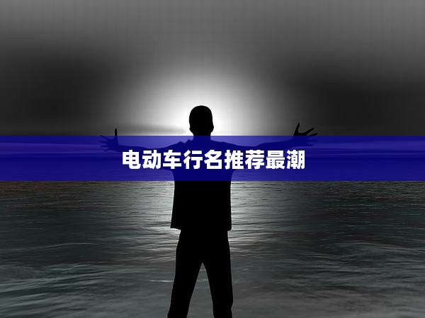 电动车行名推荐最潮