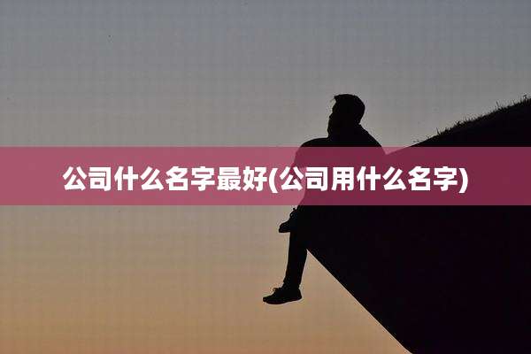 公司什么名字最好(公司用什么名字)