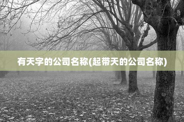 有天字的公司名称(起带天的公司名称)