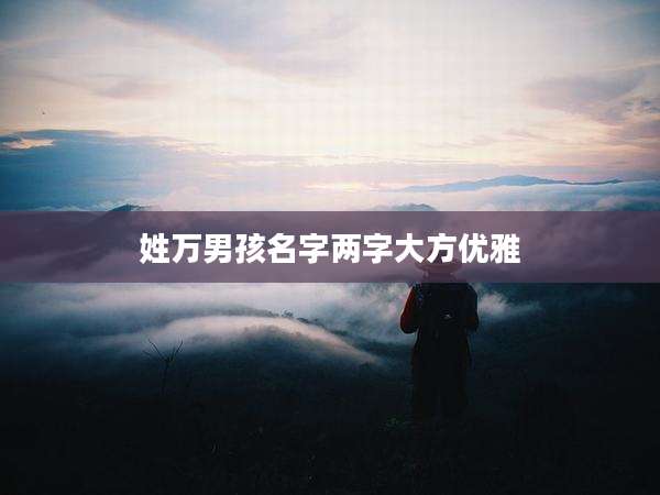 姓万男孩名字两字大方优雅