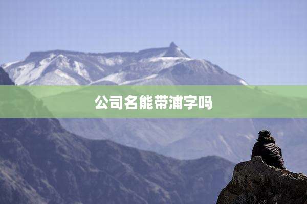 公司名能带浦字吗
