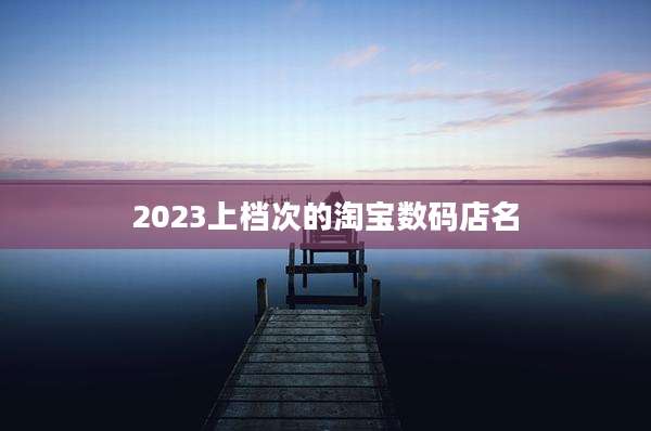 2023上档次的淘宝数码店名