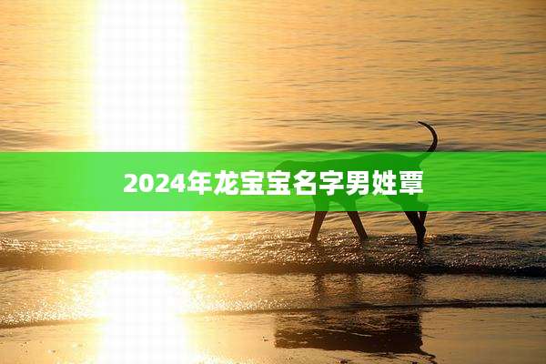 2024年龙宝宝名字男姓覃