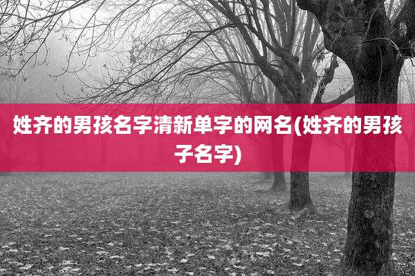 姓齐的男孩名字清新单字的网名(姓齐的男孩子名字)