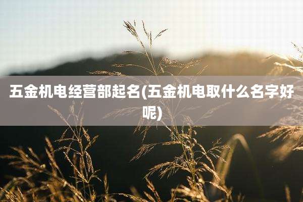 五金机电经营部起名(五金机电取什么名字好呢)