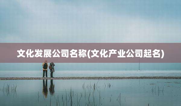 文化发展公司名称(文化产业公司起名)
