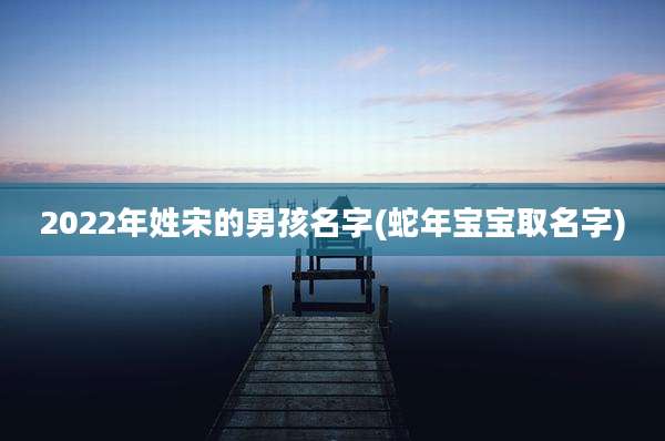 2022年姓宋的男孩名字(蛇年宝宝取名字)