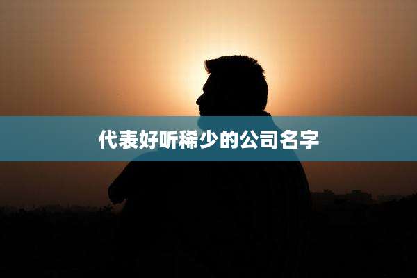 代表好听稀少的公司名字