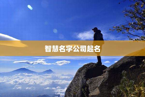 智慧名字公司起名