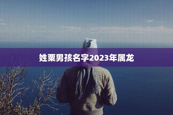 姓粟男孩名字2023年属龙
