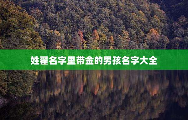 姓翟名字里带金的男孩名字大全