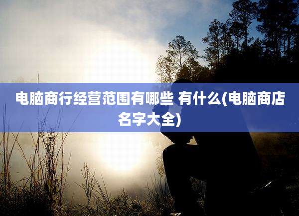 电脑商行经营范围有哪些 有什么(电脑商店名字大全)