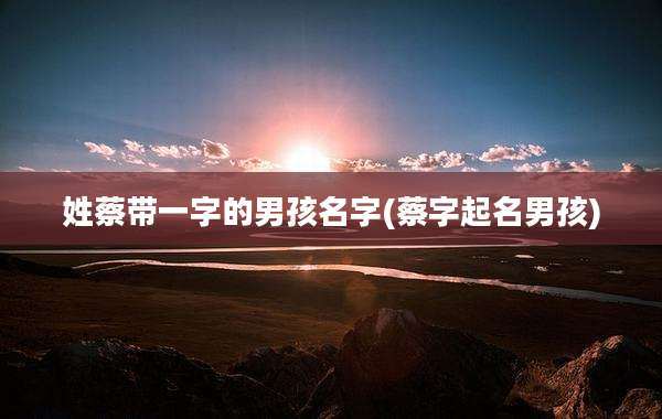姓蔡带一字的男孩名字(蔡字起名男孩)