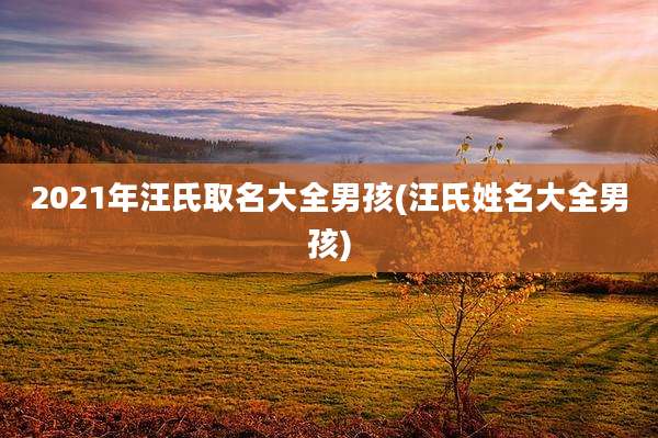 2021年汪氏取名大全男孩(汪氏姓名大全男孩)