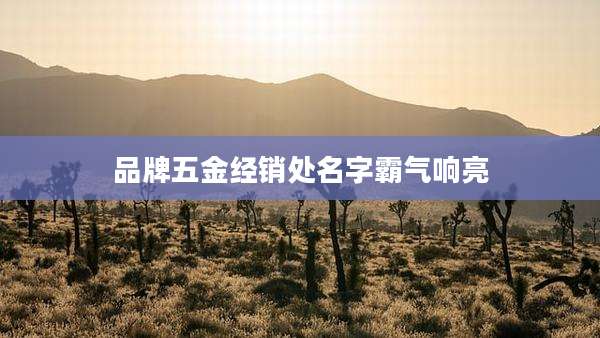 品牌五金经销处名字霸气响亮