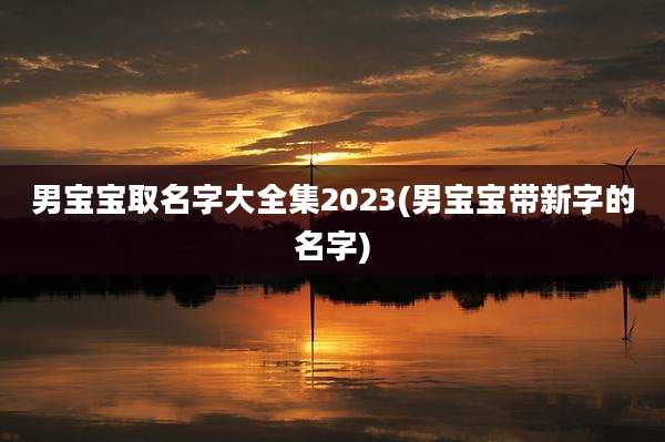 男宝宝取名字大全集2023(男宝宝带新字的名字)