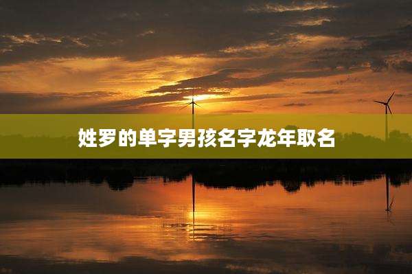 姓罗的单字男孩名字龙年取名